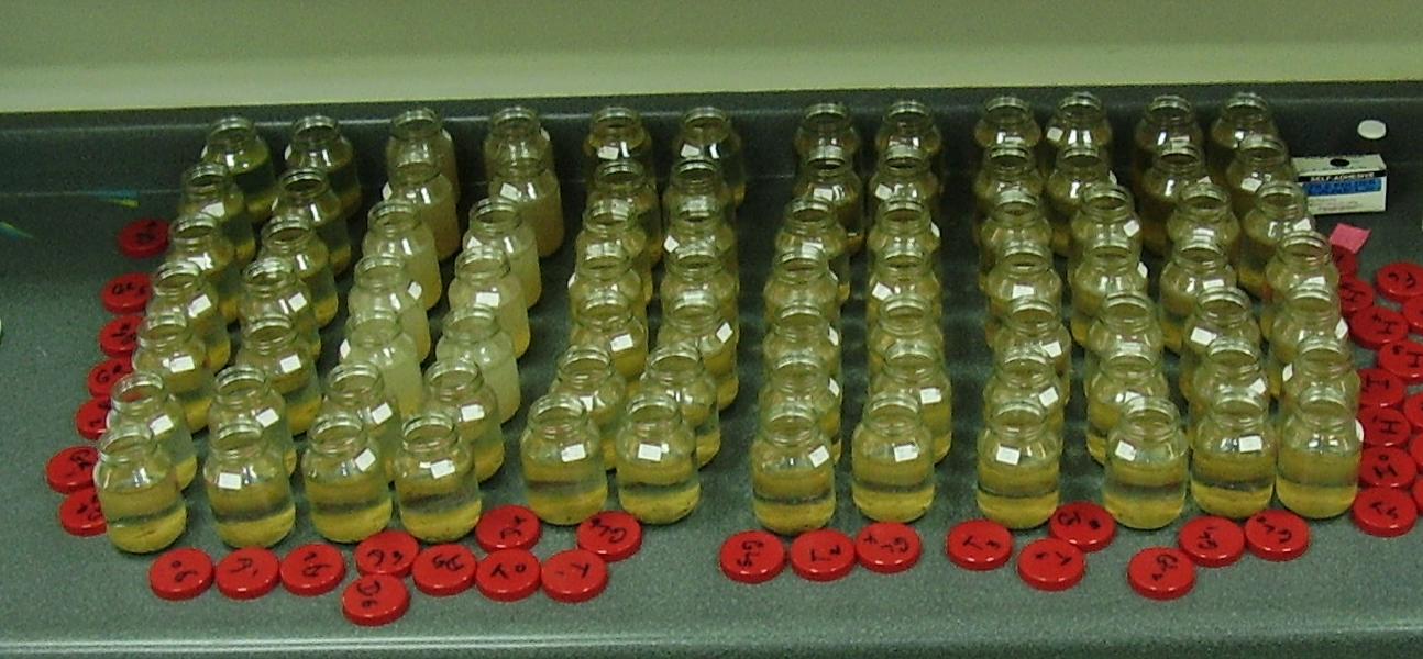 Toxicity to tadpoles