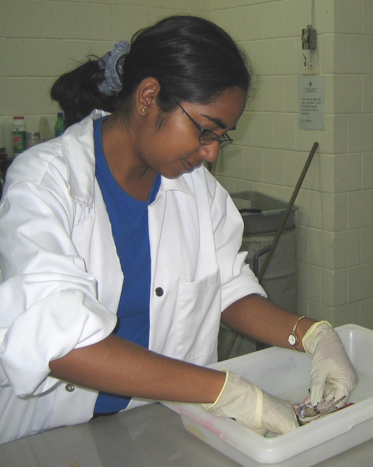 Tissue sample preparation (Photo Racquel Mohammed)