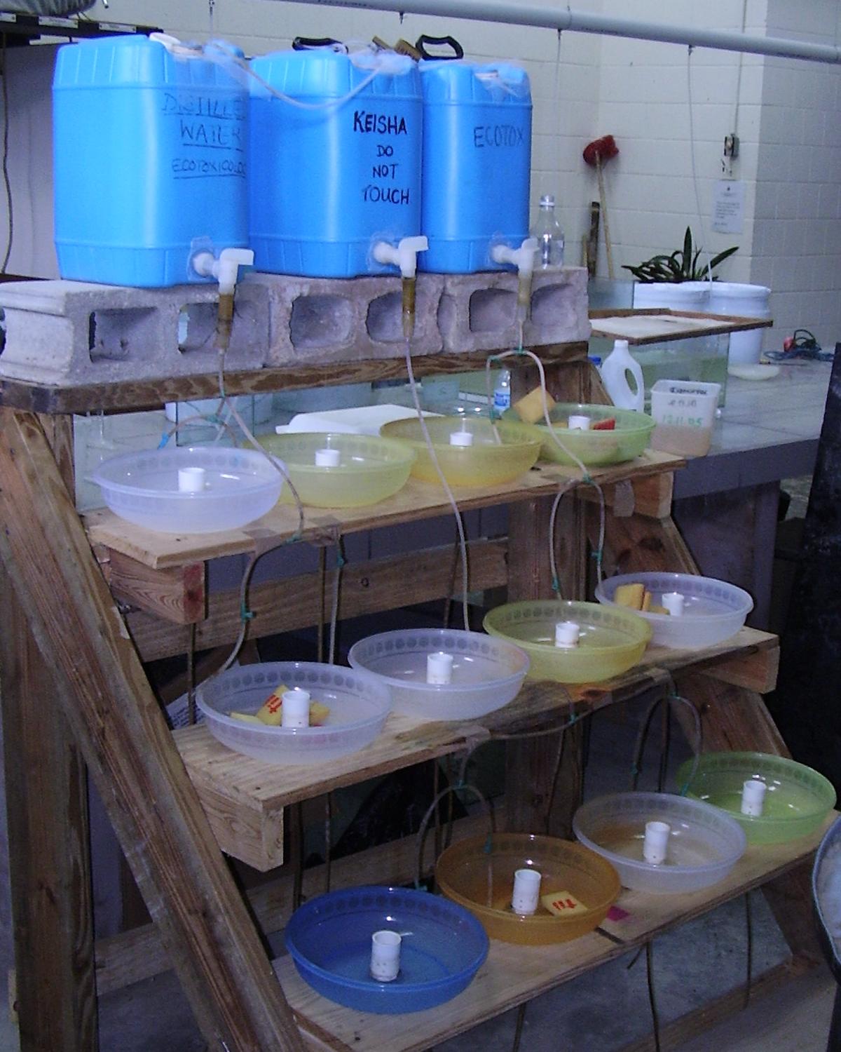 Flowing water system